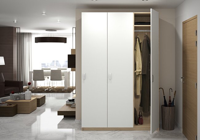 Entryway closet storage ideas