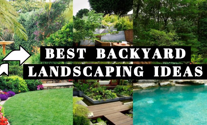 Best Backyard Landscaping Idea