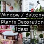 Window or Balcony Plants Decoration Ideas