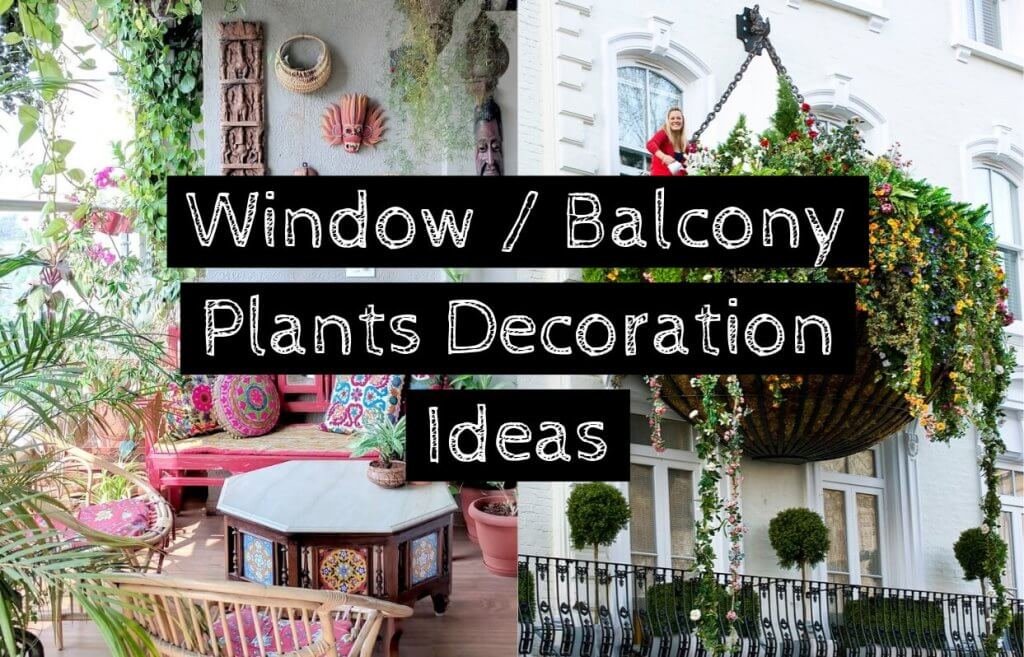 Window or Balcony Plants Decoration Ideas
