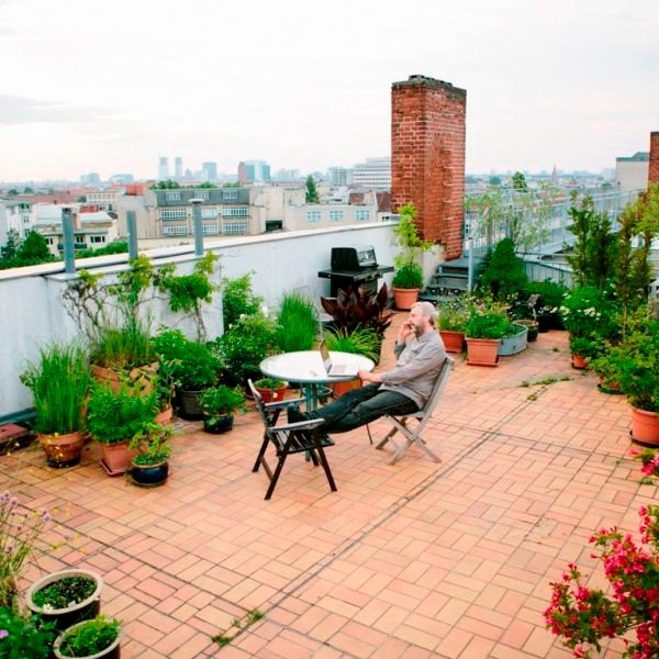 Rooftop Garden