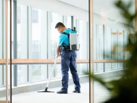 Cleaning the Carpet Efficiently