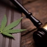 cannabis law 1