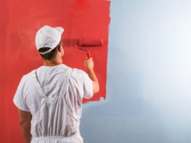 Professional Painter1