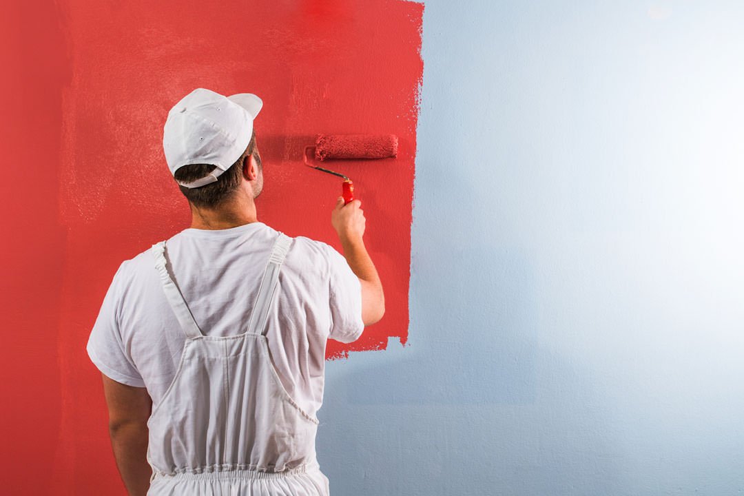 Professional Painter1
