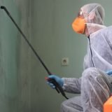 Mold Remediation Company 1