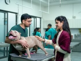 Animal Hospitals in Dubai