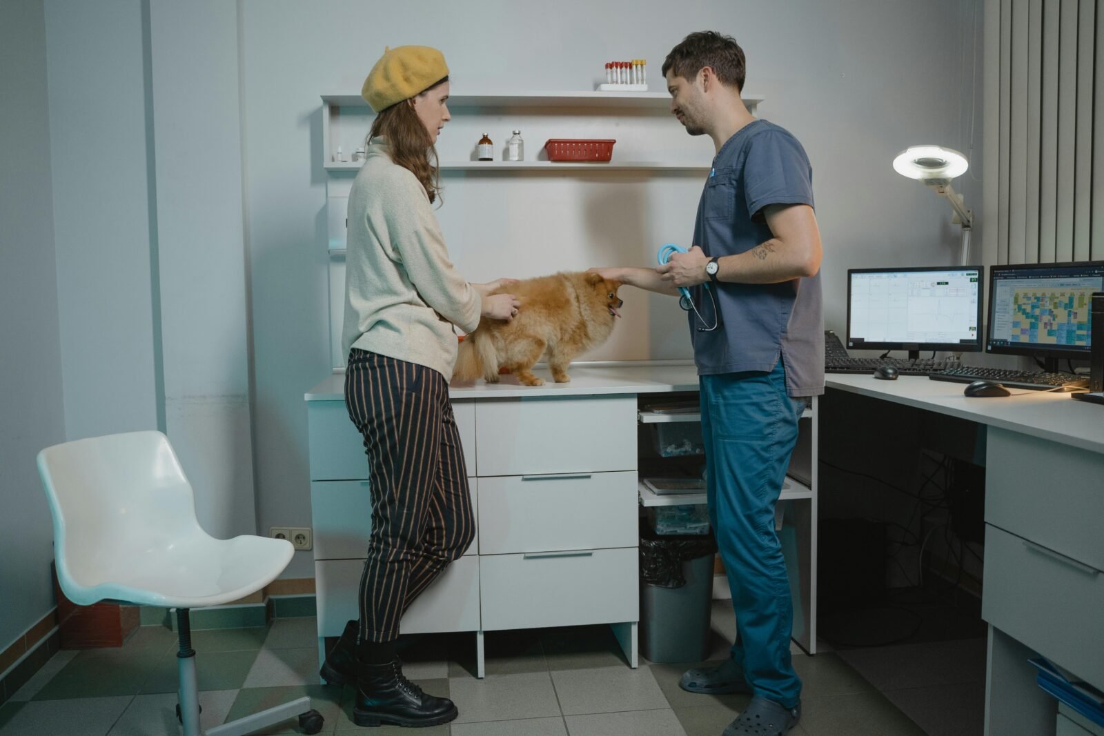 veterinary clinic in Dubai